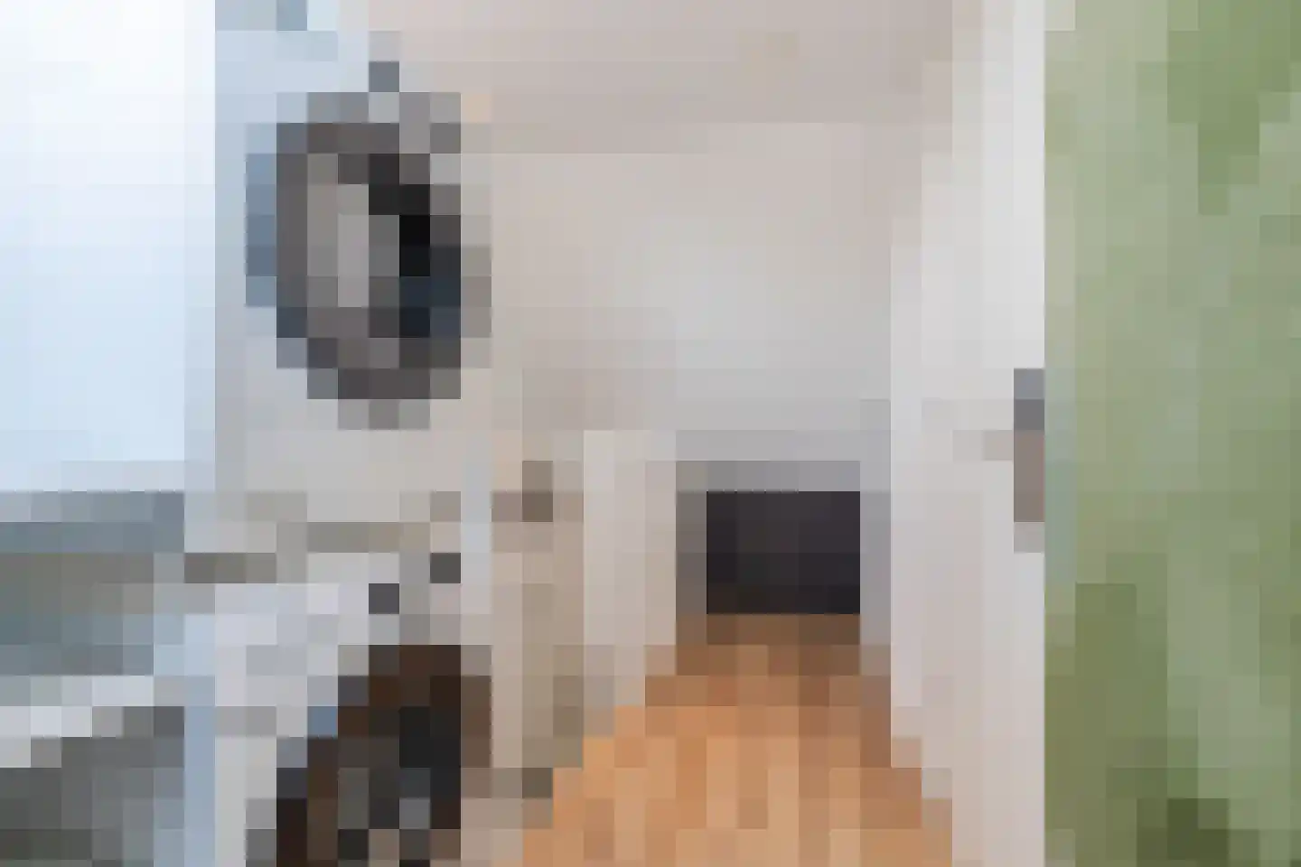 Nelly Boudewijnsstraat 33 Breda thumbnail 30