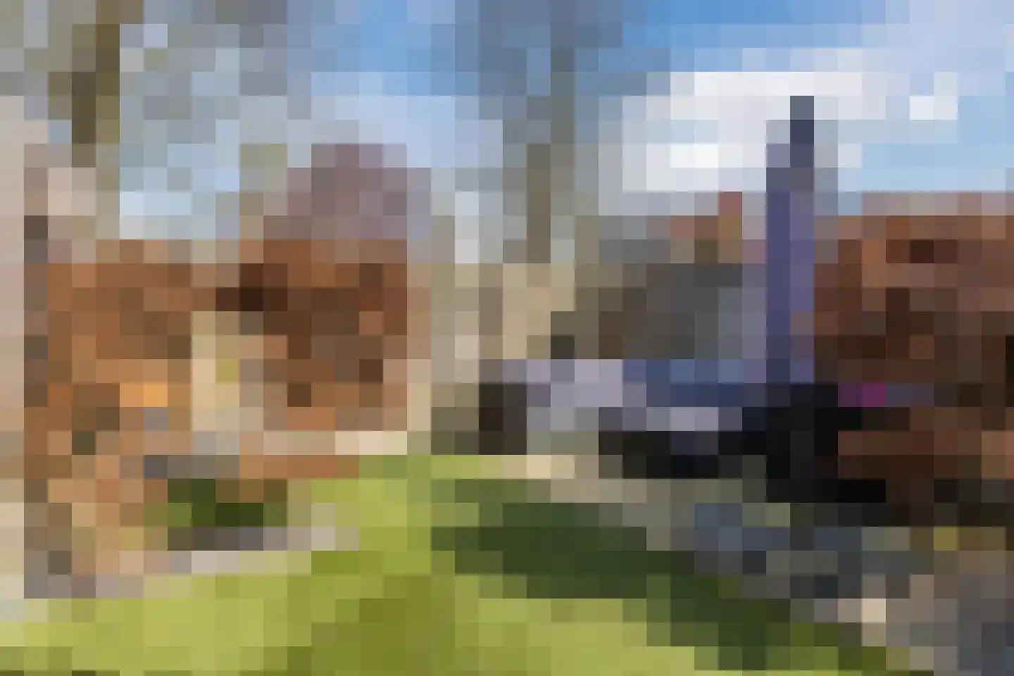 Nelly Boudewijnsstraat 33 Breda thumbnail 38