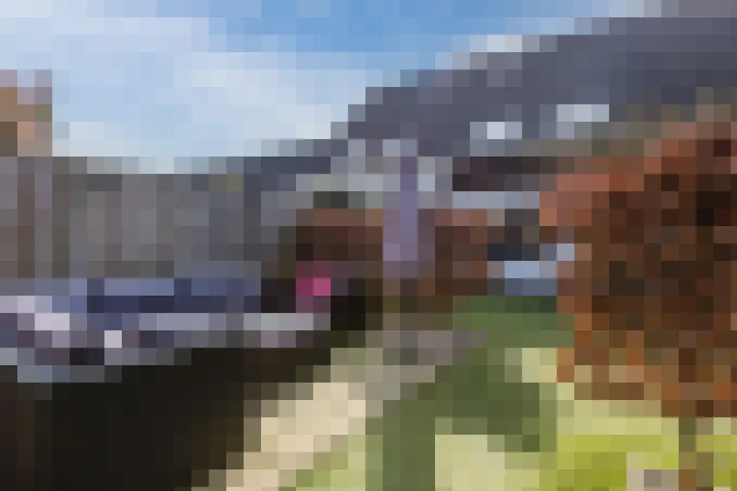 Nelly Boudewijnsstraat 33 Breda thumbnail 41