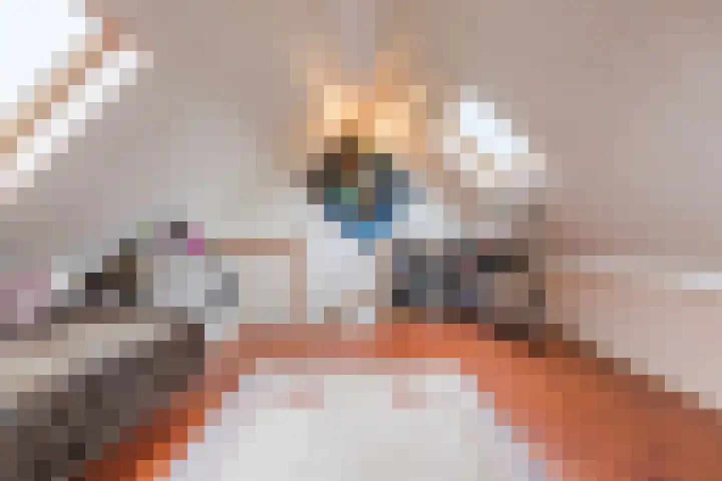 Nelly Boudewijnsstraat 35 Breda thumbnail 31