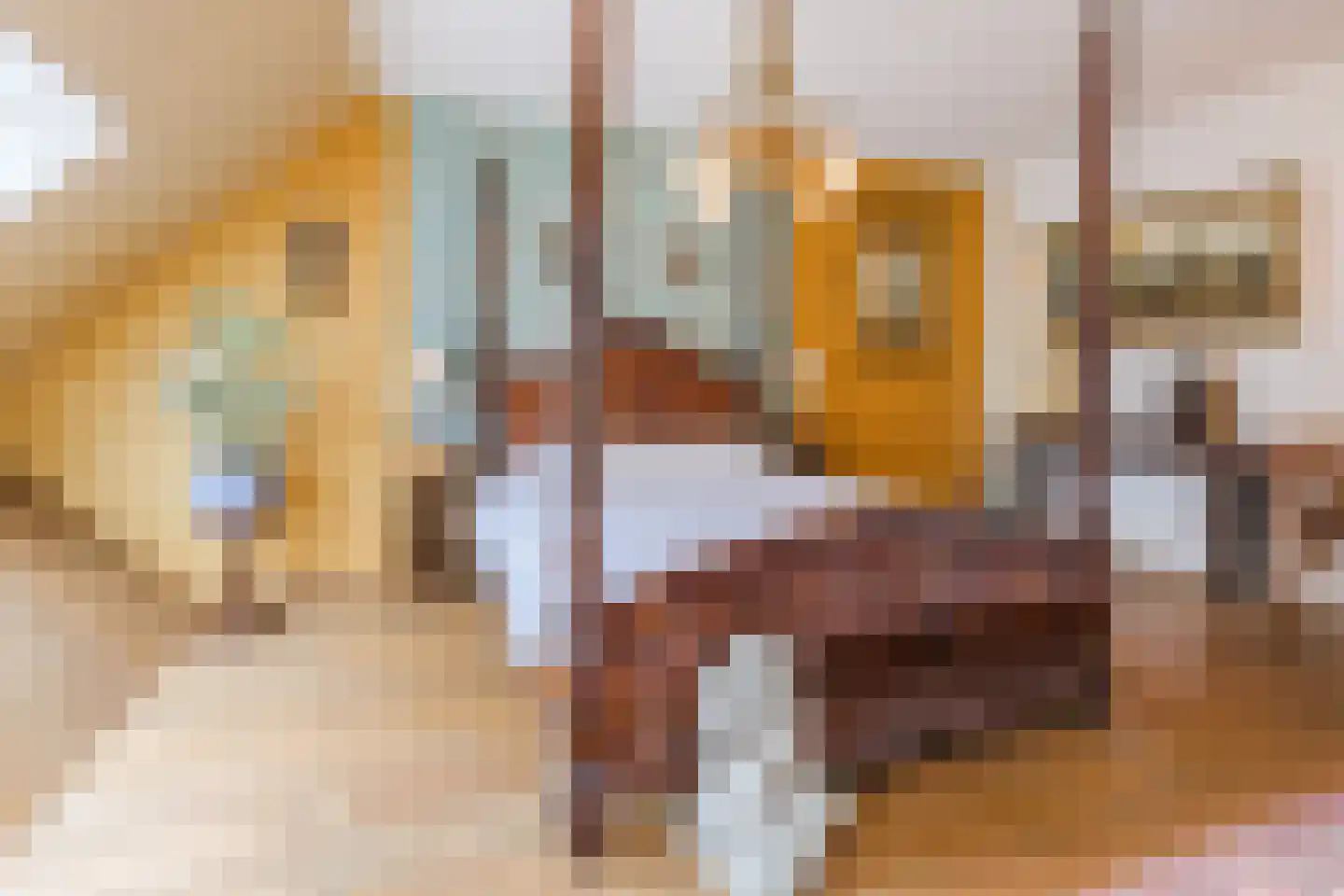 Nelly Boudewijnsstraat 35 Breda thumbnail 9