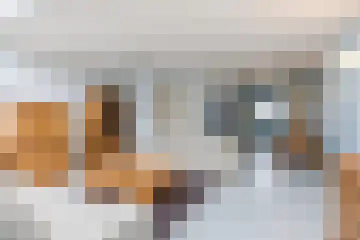 Nelly Boudewijnsstraat 53 Breda thumbnail 8