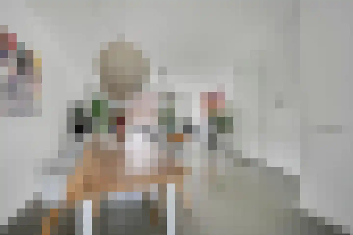 Nelly Sachslaan 43 Den Haag thumbnail 12