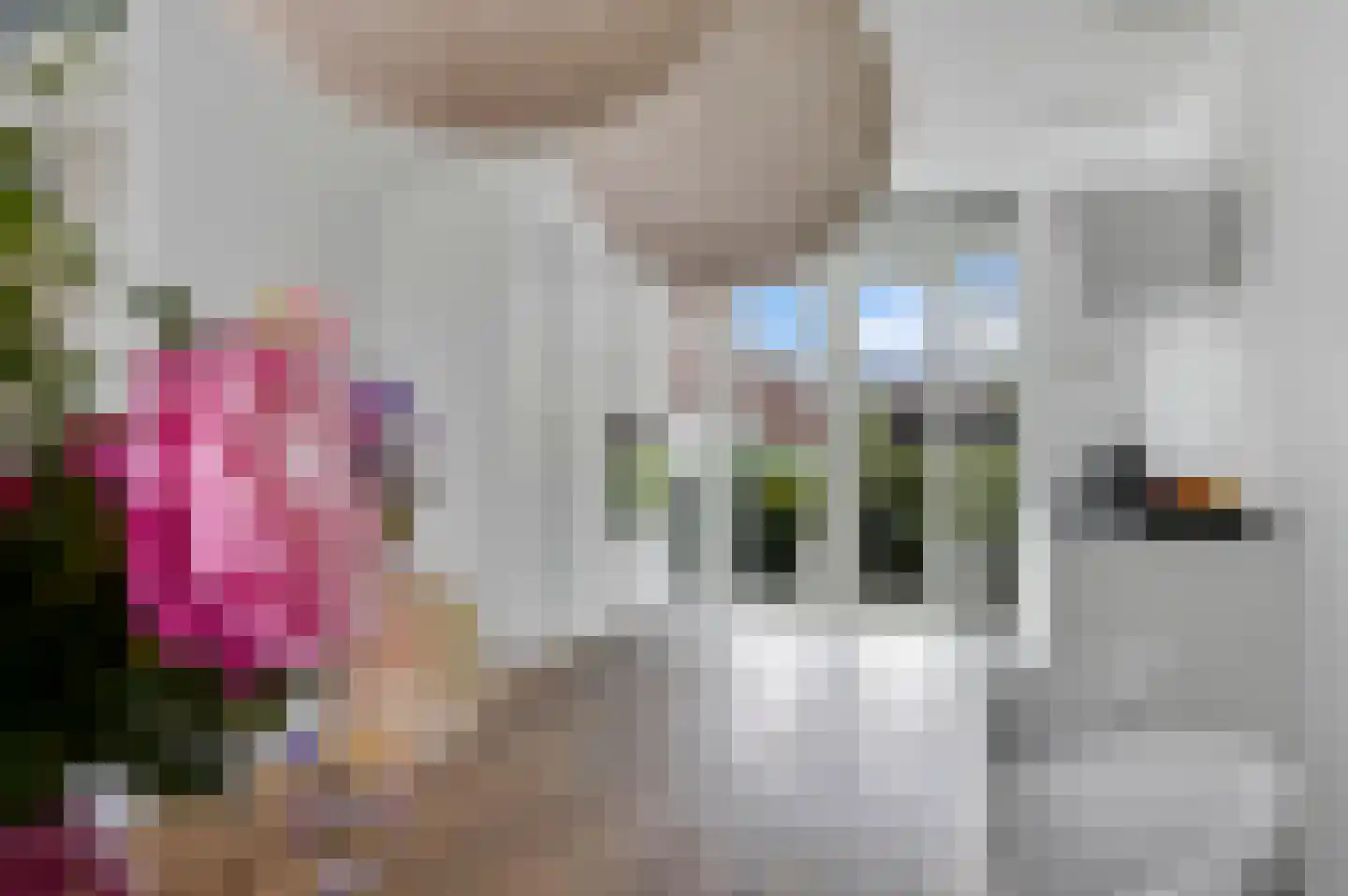 Nelly Sachslaan 43 Den Haag thumbnail 20