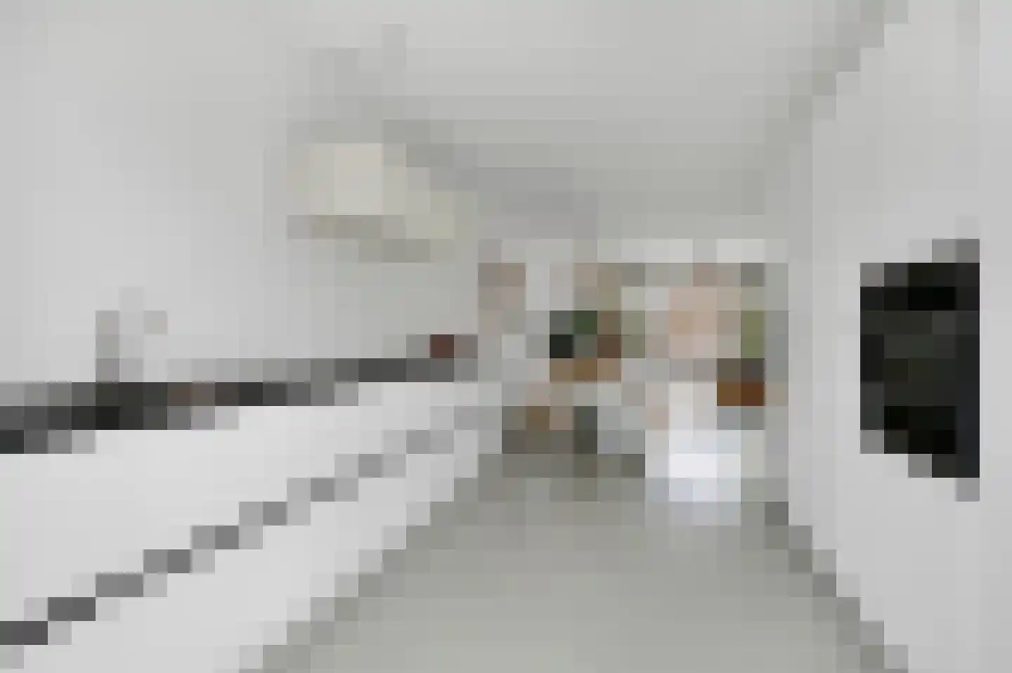 Nelly Sachslaan 43 Den Haag thumbnail 22