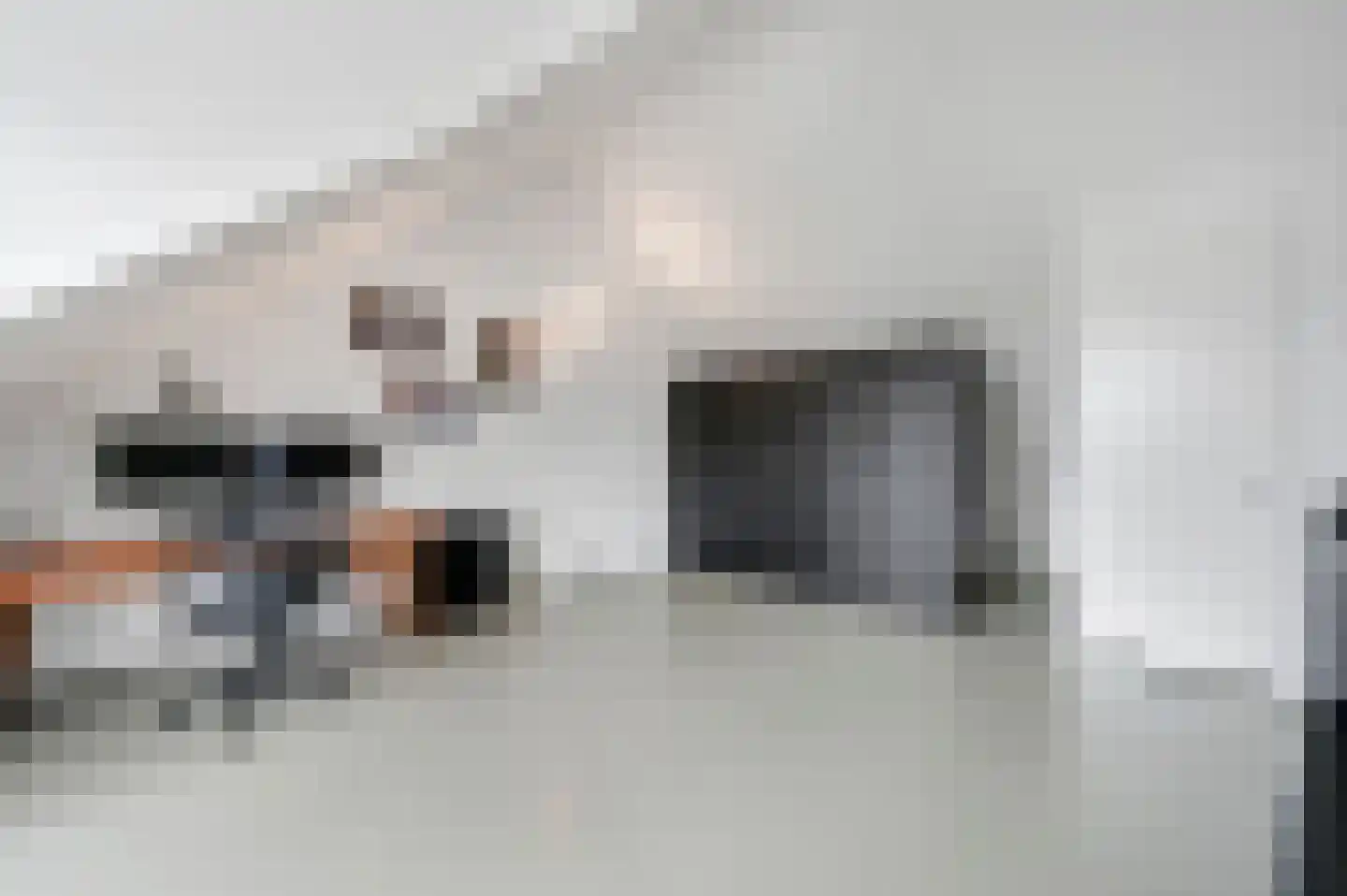 Nelly Sachslaan 43 Den Haag thumbnail 38