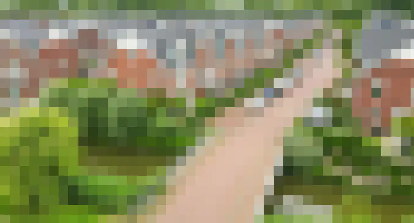 Nelly Sachslaan 43 Den Haag thumbnail 39