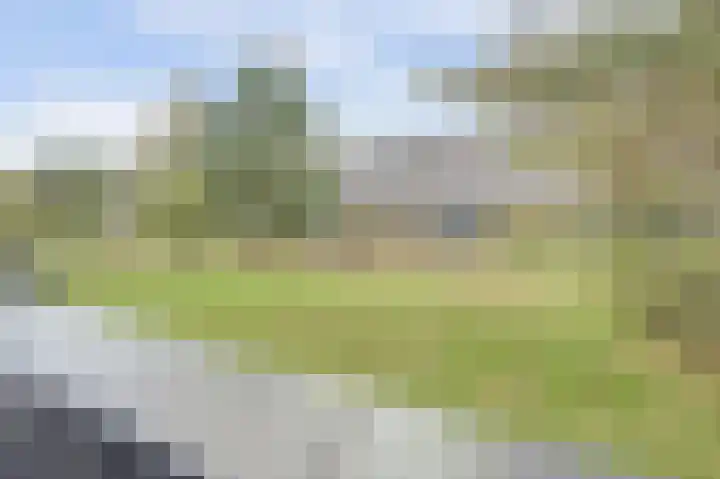 Nelson Mandelahof 33 Ermelo thumbnail 5