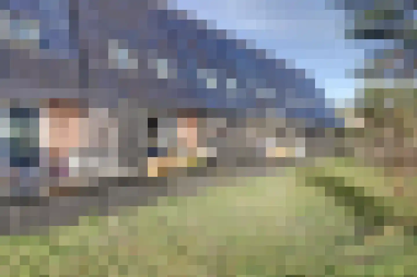 Nelson Mandelahof 37 Ermelo thumbnail 30