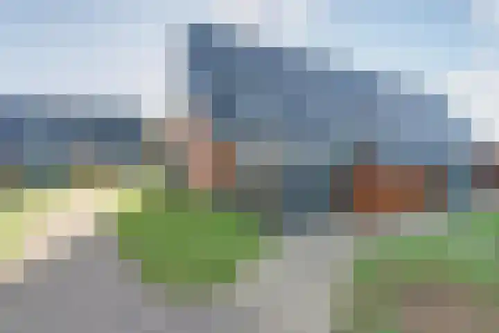 Nelson Mandelahof 41 Ermelo thumbnail 31