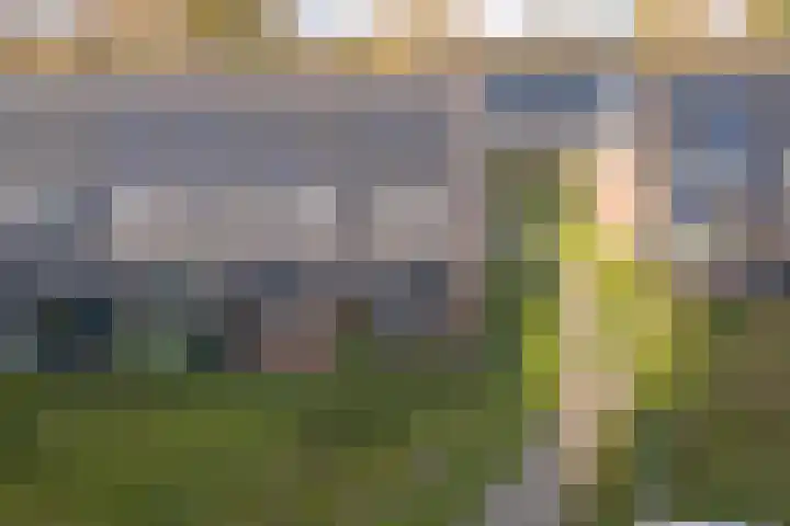 Nelson Mandelahof 41 Ermelo thumbnail 35
