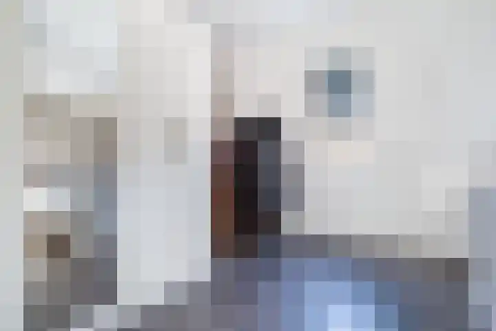Nelson Mandelahof 43 Ermelo thumbnail 17