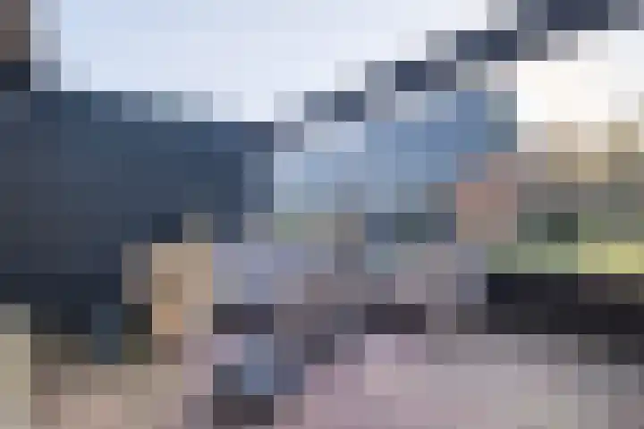 Nelson Mandelahof 43 Ermelo thumbnail 22