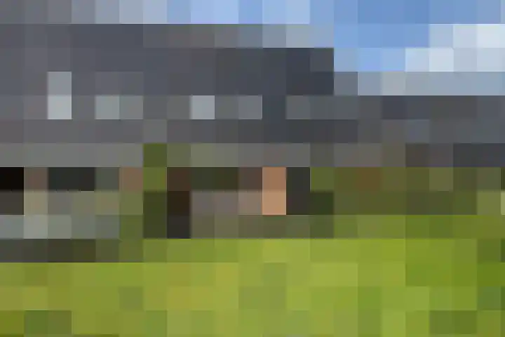 Nelson Mandelahof 43 Ermelo thumbnail 25