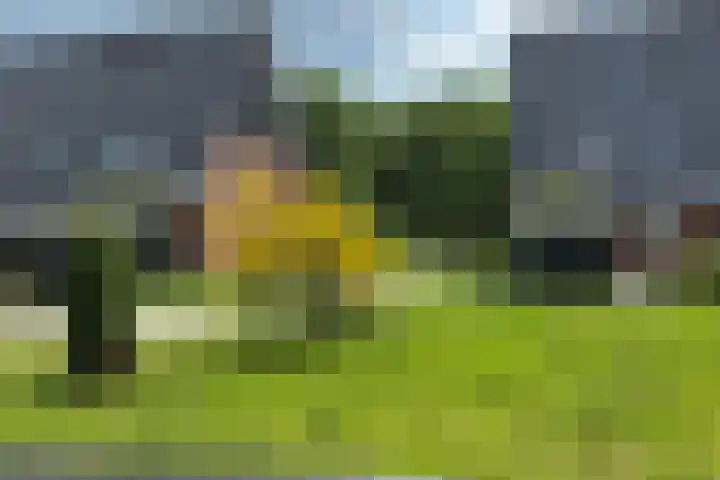 Nelson Mandelahof 43 Ermelo thumbnail 28