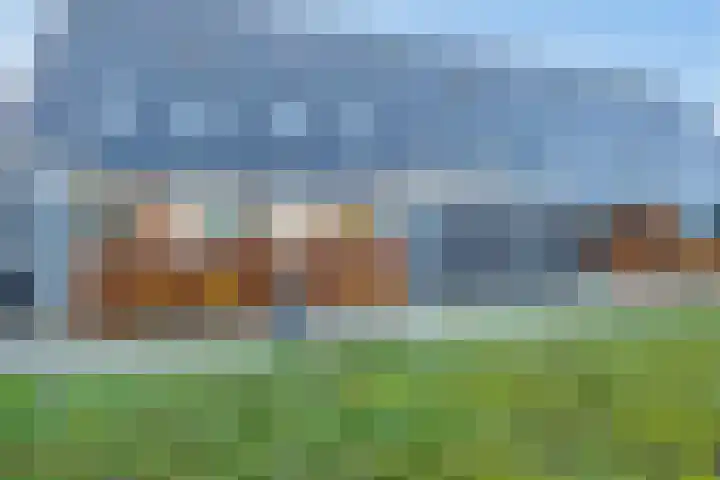 Nelson Mandelahof 43 Ermelo thumbnail 4