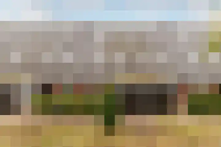 Nelson Mandelahof 5 Ermelo thumbnail 30