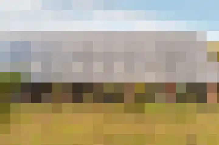 Nelson Mandelahof 5 Ermelo thumbnail 32
