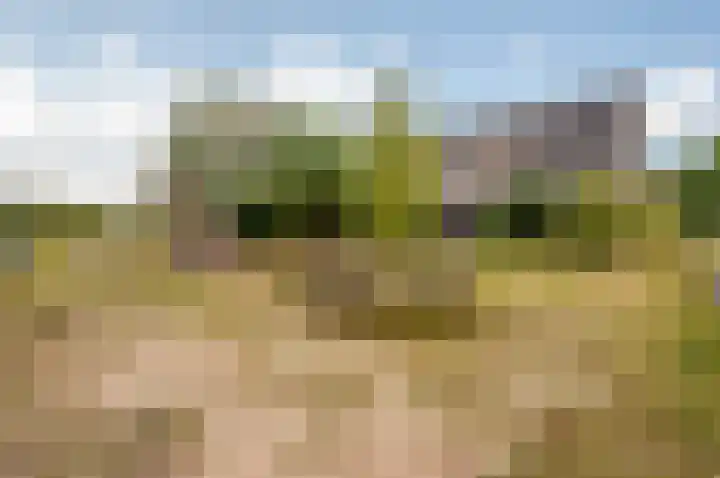 Nelson Mandelahof 55 Ermelo thumbnail 27