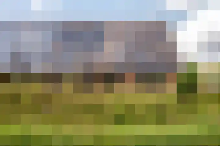 Nelson Mandelahof 55 Ermelo thumbnail 7