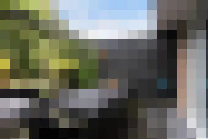 Nelson Mandelahof 61 Ermelo thumbnail 32