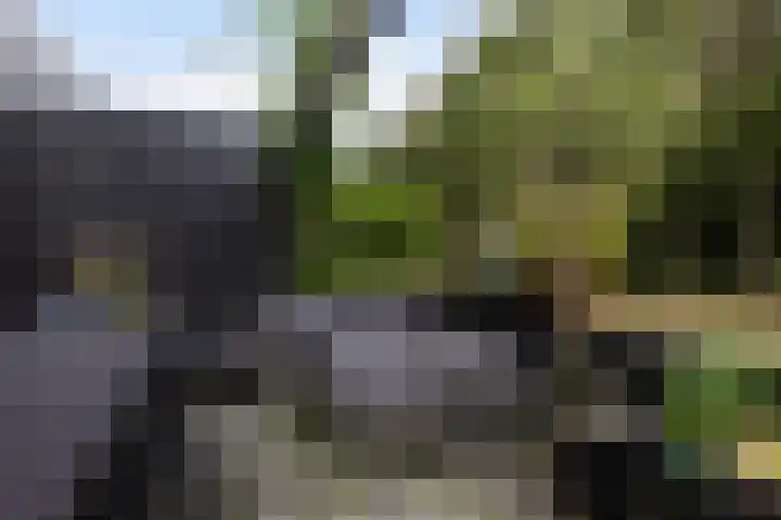 Nelson Mandelahof 61 Ermelo thumbnail 33