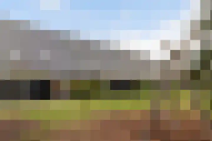 Nelson Mandelahof 61 Ermelo thumbnail 37