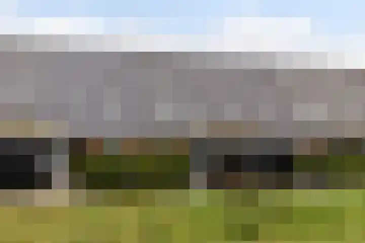 Nelson Mandelahof 61 Ermelo thumbnail 38