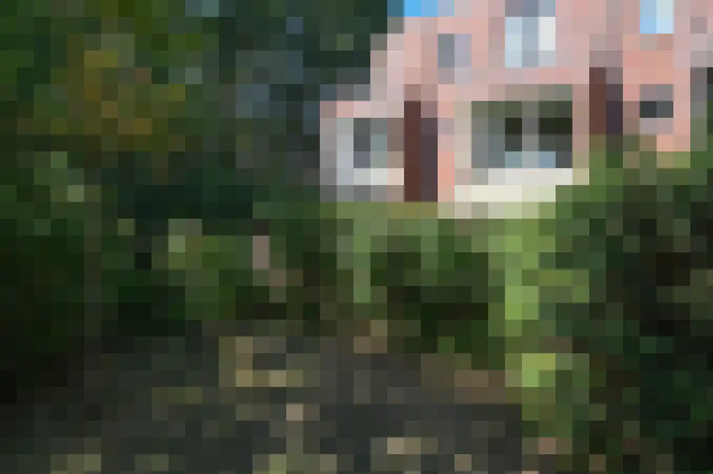Nelson Mandelalaan 102 Zeist thumbnail 35