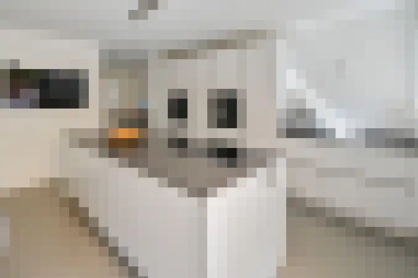 Nelson Mandelalaan 102 Zeist thumbnail 5