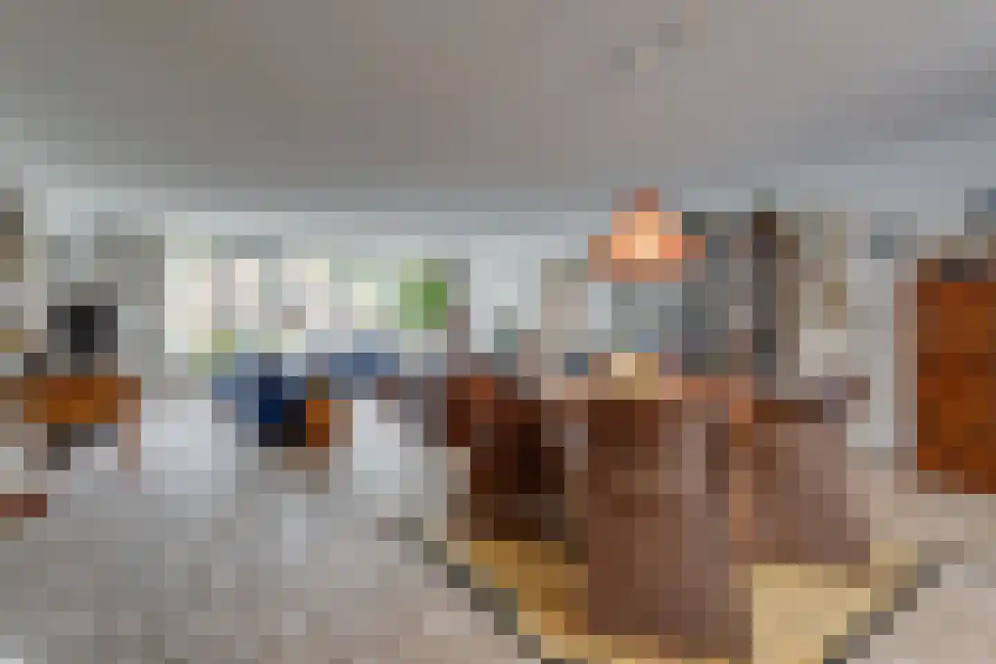 Nelson Mandelalaan 24 Zeist thumbnail 12