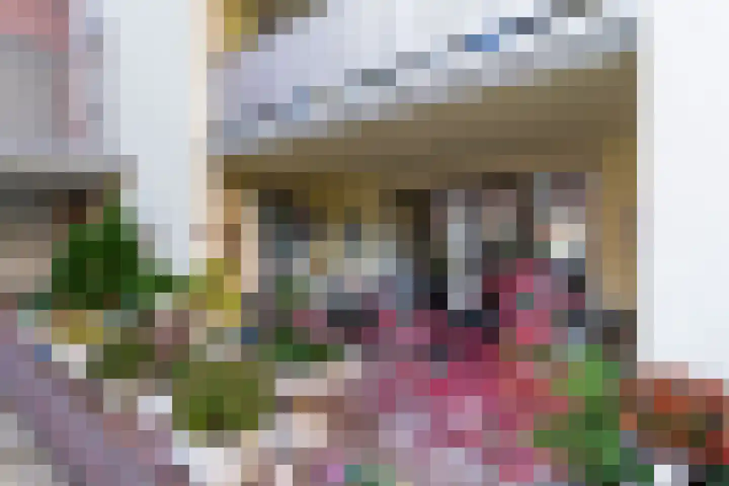 Nelson Mandelalaan 24 Zeist thumbnail 17