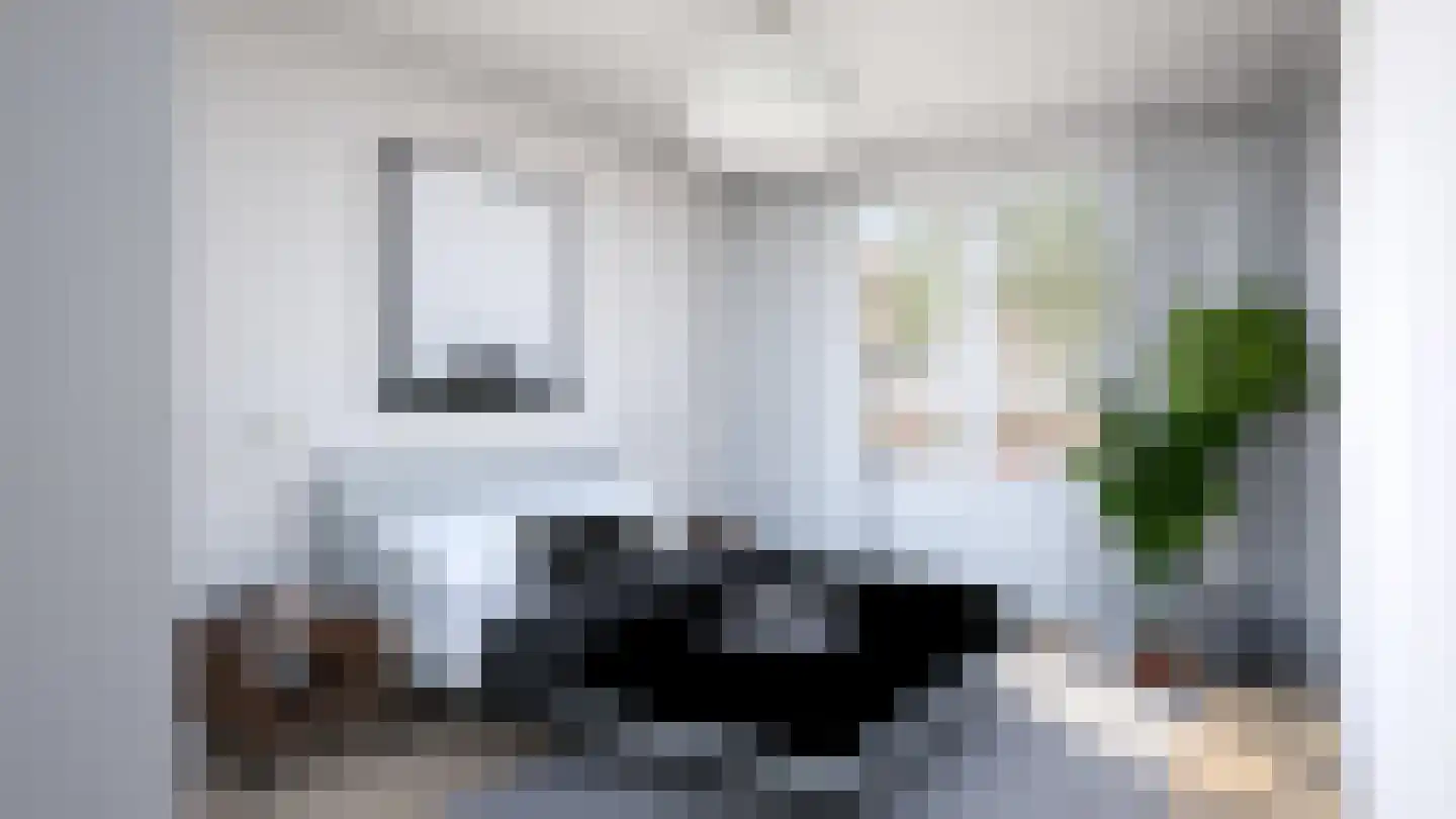 Nelson Mandelalaan 24 Zeist thumbnail 23
