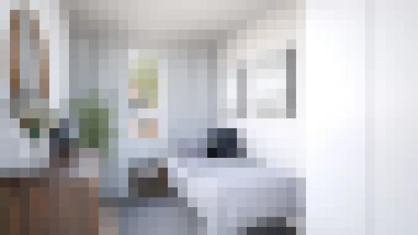 Nelson Mandelalaan 24 Zeist thumbnail 26