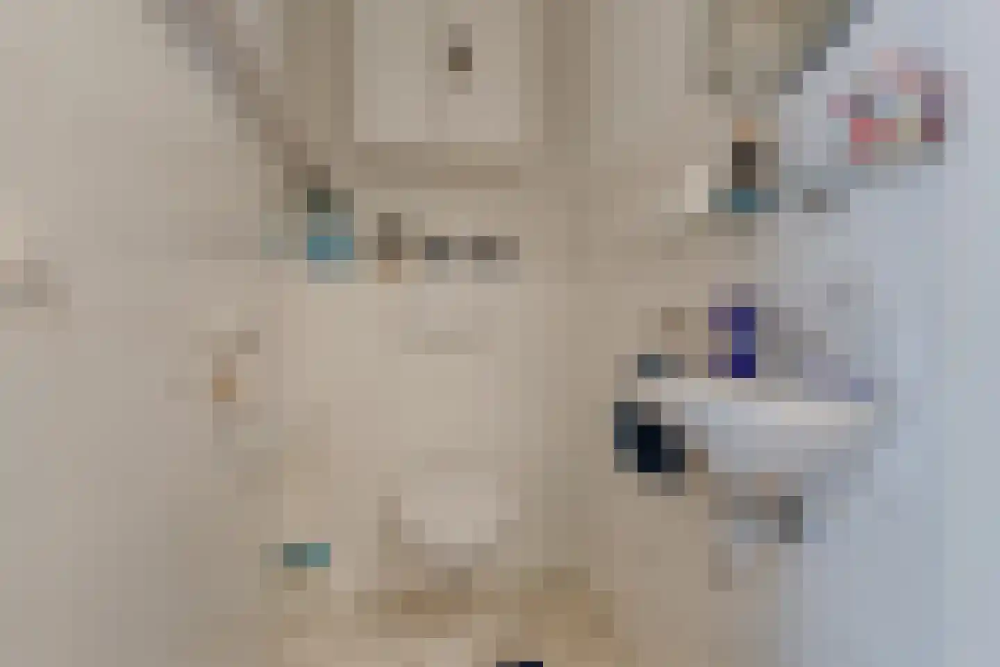 Nelson Mandelalaan 24 Zeist thumbnail 29