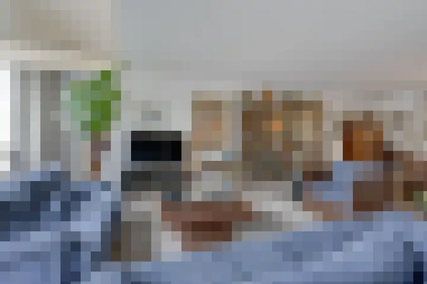 Nelson Mandelalaan 24 Zeist thumbnail 8