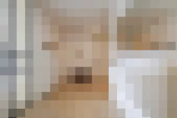 Nelson Mandelalaan 28 Zeist thumbnail 12