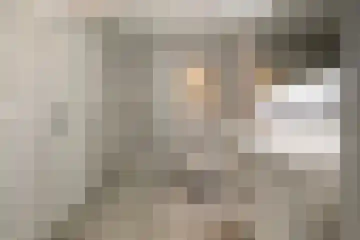 Nelson Mandelalaan 28 Zeist thumbnail 22