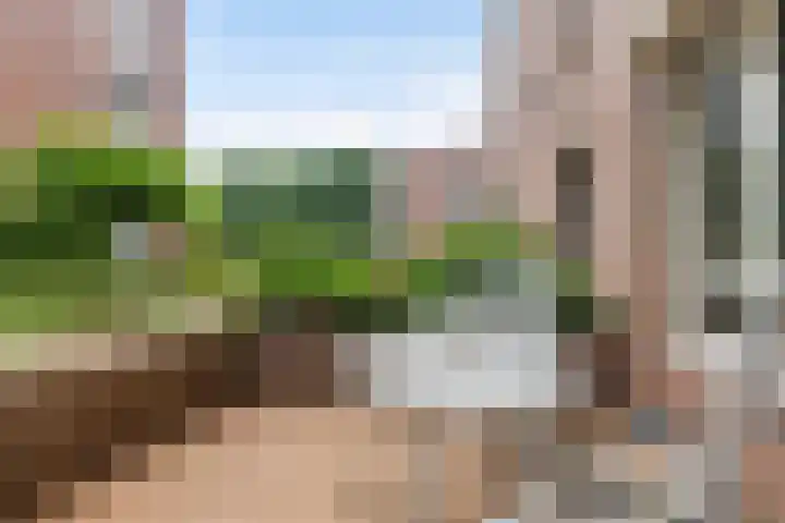 Nelson Mandelalaan 28 Zeist thumbnail 24