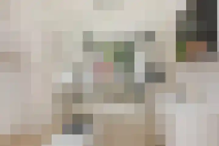 Nelson Mandelalaan 28 Zeist thumbnail 29