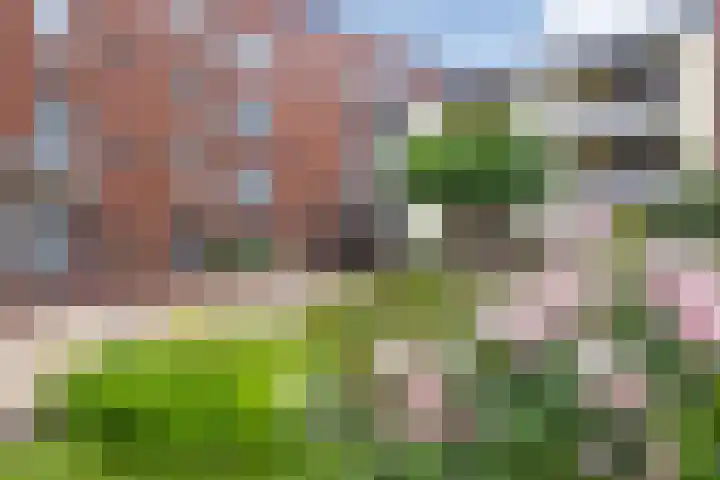 Nelson Mandelalaan 28 Zeist thumbnail 47