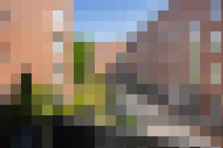 Nelson Mandelalaan 30 Zeist thumbnail 14