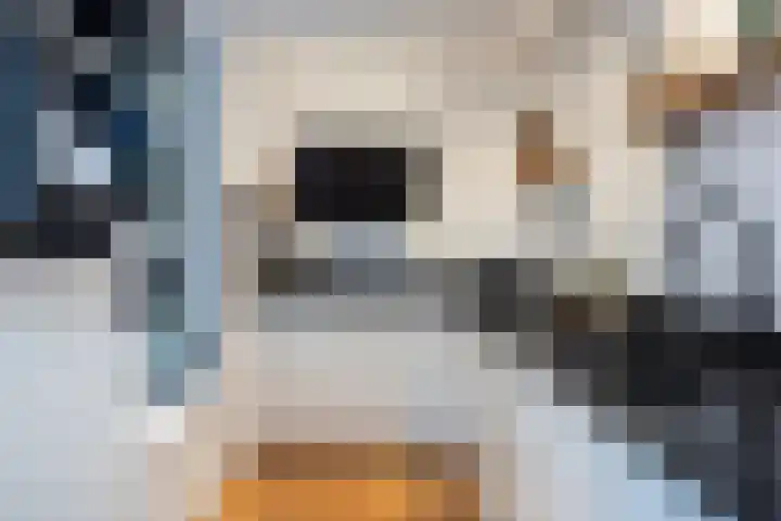 Nelson Mandelalaan 30 Zeist thumbnail 17