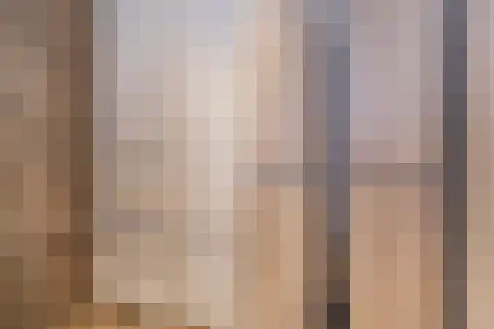 Nelson Mandelalaan 30 Zeist thumbnail 22