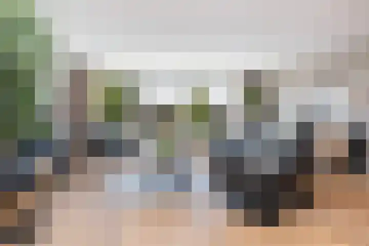 Nelson Mandelalaan 30 Zeist thumbnail 7