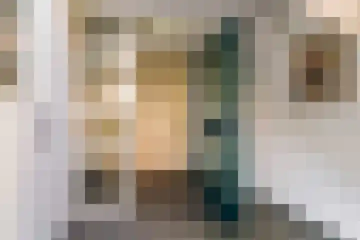 Nelson Mandelalaan 52 Zeist thumbnail 4