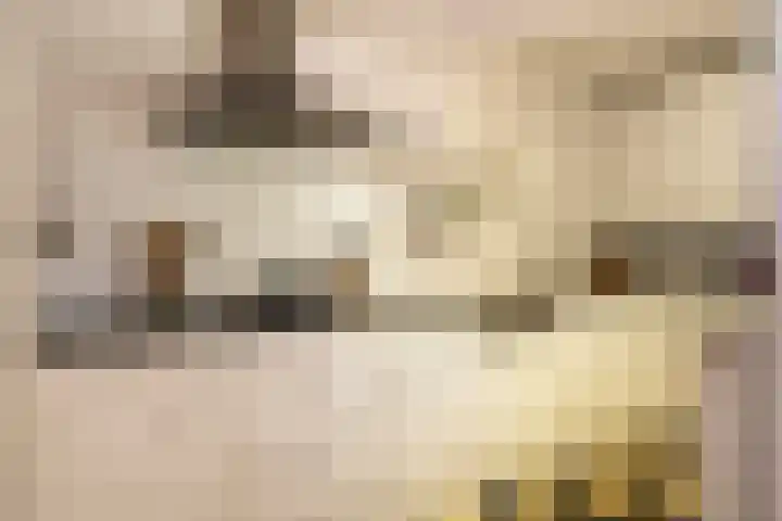 Nelson Mandelalaan 8 Zeist thumbnail 11