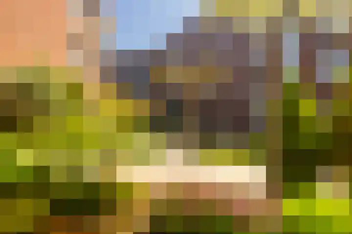 Nelson Mandelalaan 8 Zeist thumbnail 15