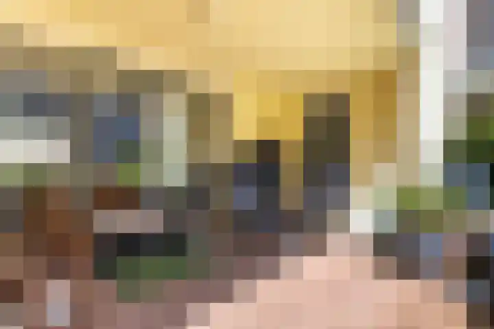 Nelson Mandelalaan 8 Zeist thumbnail 17