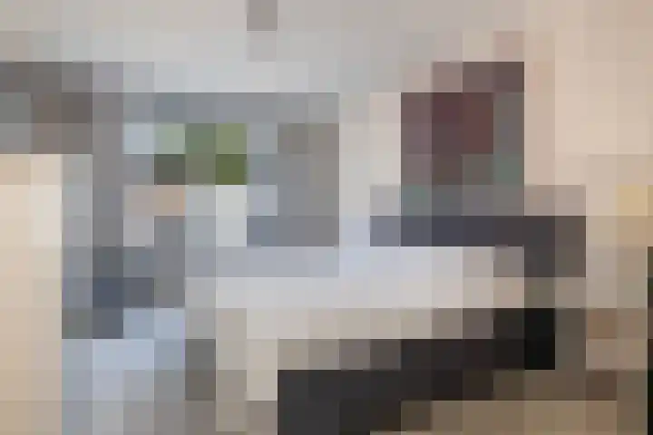 Nelson Mandelalaan 8 Zeist thumbnail 20